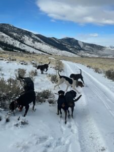 467509085_1041909637734237_3283359388236949788_n