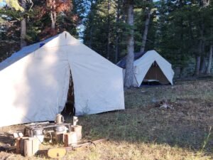 480760831_1107165367875330_7935643619819104155_n