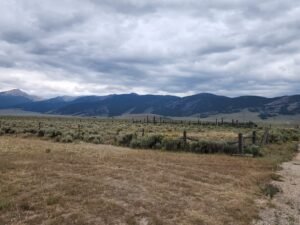 481101611_1107152491209951_5845765721468017558_n