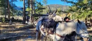 484312600_1126356069289593_4344353296191449794_n