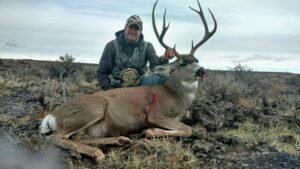 484782268_1126354595956407_8038116517709506670_n