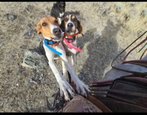 484826750_1127762342482299_6099828533283807838_n