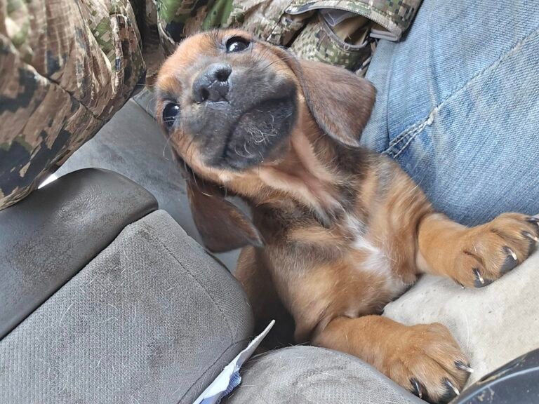 485030564_1126293095962557_5920929927193466084_n