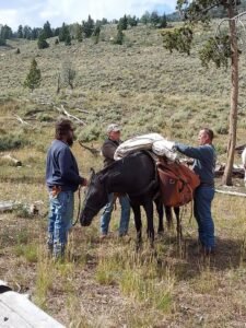 485157094_1126354575956409_7747335439147114137_n