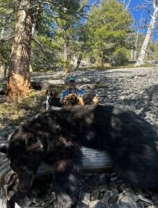 485183988_1126354452623088_3949265442184364244_n