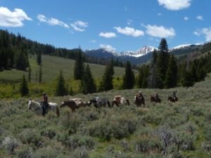 486508801_1131277352130798_939349999767522487_n