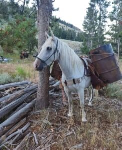 488178566_1138472014744665_307206932275096145_n