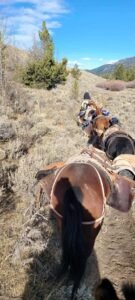 497859708_1171852288073304_2442062377427606551_n