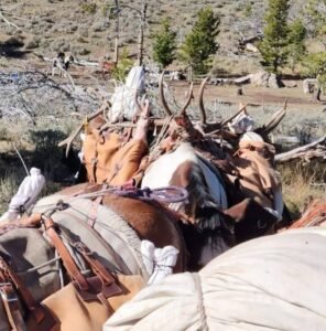 501046136_1183488643576335_3089529982155955665_n